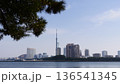愛宕浜から望む百道のビル群と都市景観 136541345