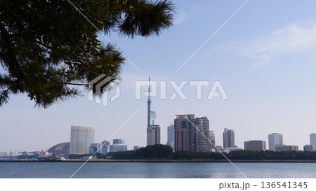 愛宕浜から望む百道のビル群と都市景観 136541345