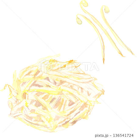 水彩で描いたもやしのイラスト ベクター 水彩で描いたもやしのイラスト ベクター 136541724