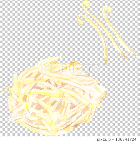 水彩で描いたもやしのイラスト ベクター 水彩で描いたもやしのイラスト ベクター 136541724