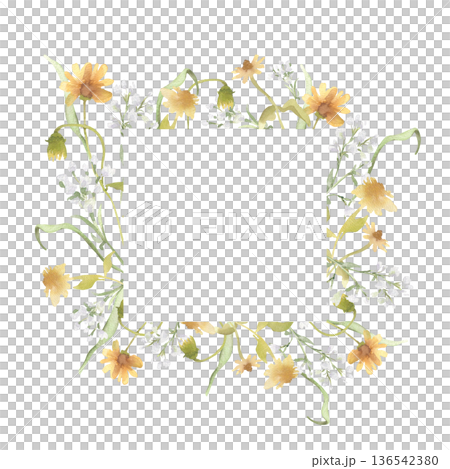 Wildflower square frame with yellow and white blossoms isolated on white. Soft watercolor meadow grass arrangement for invitation or greeting card template. Botanical blank neutral colors for you text 136542380