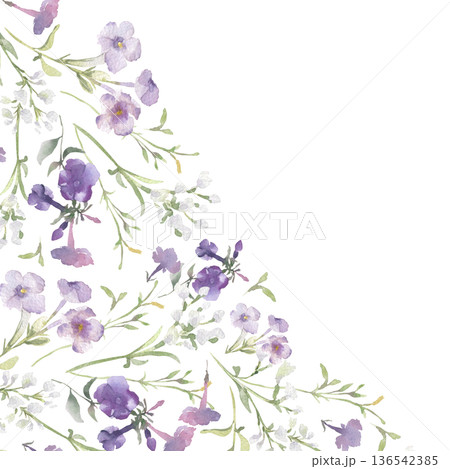 Watercolor lilac and white wildflowers with green leaves corner border with place for text. Delicate floral design with a botanical elements for a greeting card. Phlox and grass hand drawn frame. 136542385