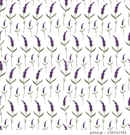 Seamless lavender floral pattern with minimalist botanical elements Seamless lavender floral pattern with minimalist botanical elements 136542391