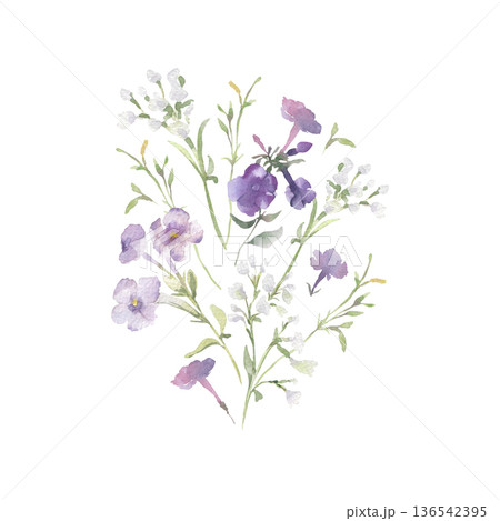 Delicate bouquet of purple and white flowers watercolor illustration isolated white. Meadow blooms, soft plants with green stems for wedding invitation or greeting card. Wildflowers pastel colors. 136542395