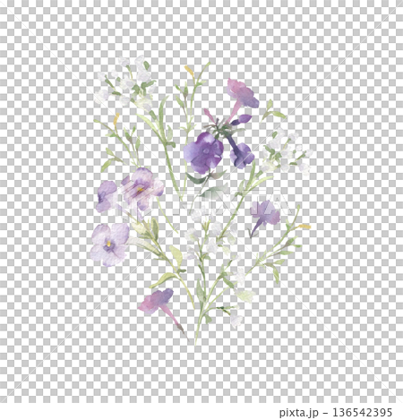 Delicate bouquet of purple and white flowers watercolor illustration isolated white. Meadow blooms, soft plants with green stems for wedding invitation or greeting card. Wildflowers pastel colors. 136542395
