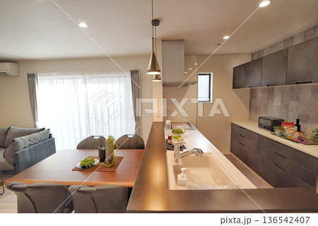 ペット同居型デザイナーズ住宅のお洒落なリビング 136542407