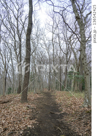 登山道 ハイキングコース 山登り 秋 冬 イメージ 136542425