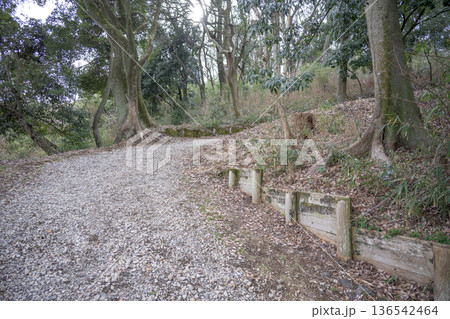 登山道 ハイキングコース 山登り 秋 冬 イメージ 136542464