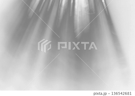 Abstract Monochrome Light Rays Background With Soft Blur on transparent background Abstract Monochrome Light Rays Background With Soft Blur on transparent background 136542681