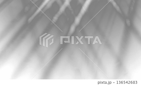Abstract Monochrome Light Rays Background With Soft Blur on transparent background 136542683