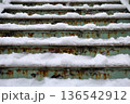 雪で滑りやすくなった階段 136542912