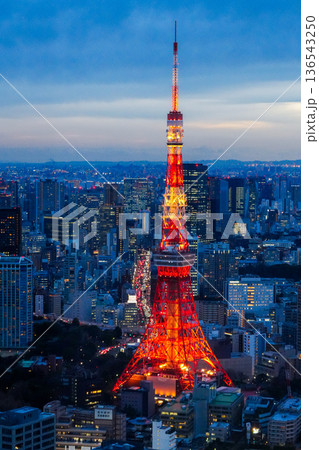 夜の東京タワー 136543250
