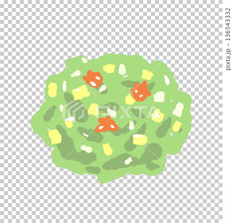 紫陽花や苔をイメージした緑色のきんとん(和菓子) 紫陽花や苔をイメージした緑色のきんとん(和菓子) 136543332