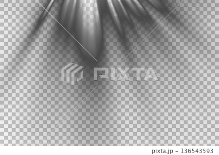 Abstract Monochrome Light Rays Background With Soft Blur on transparent background 136543593