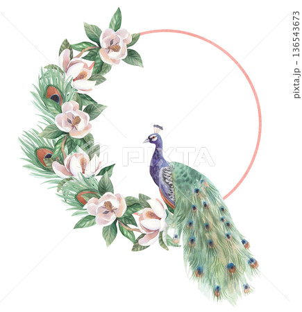 Wreath of the peacock, feathers and branch of magnolia. Handmade watercolor illustration. For cards, cover, wallpaper, prints, product labels and fabric. 136543673