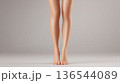 女性の脚 正面立ち スタジオ撮影 136544089