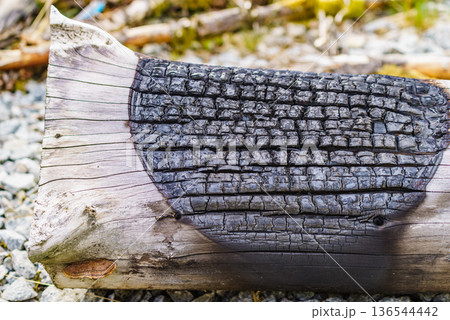 Charred smoking wood log Charred smoking wood log 136544442