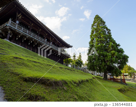 下から見上げた東大寺二月堂の舞台 下から見上げた東大寺二月堂の舞台 136544881