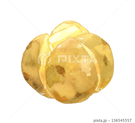 じゃがバター　料理・食べ物の手描き水彩イラスト素材 136545557