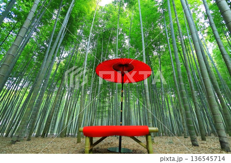 竹林の中にある赤い和傘とベンチ 竹林の中にある赤い和傘とベンチ 136545714