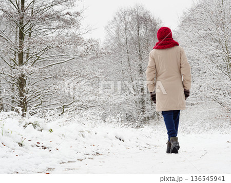 Woman walk in winter snow forest. Woman walk in winter snow forest. 136545941