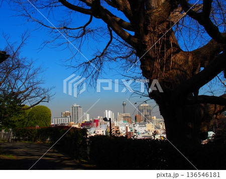 ノスタルジックな横浜ブラフ18番館 136546181