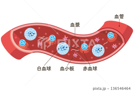 血管を流れる細胞たち　O2（酸素）をのせた赤血球（名称あり） 136546464