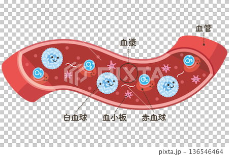 Cells flowing through blood vessels: Red blood cells carrying O2 (oxygen) (named) 136546464