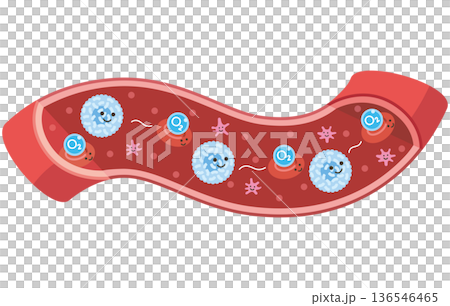 Cells flowing through blood vessels: Red blood cells (unnamed) carrying O2 (oxygen) 136546465