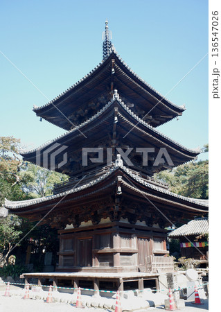 愛媛県松山市　石手寺の三重塔 136547026