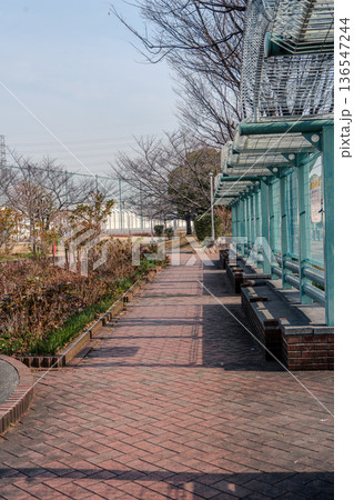 公園の小径 公園の小径 136547244
