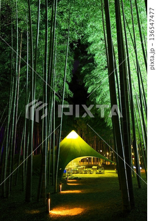 宇都宮 若竹の杜 若山農場 ライトアップ 宇都宮 若竹の杜 若山農場 ライトアップ 136547477