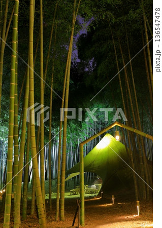 宇都宮 若竹の杜 若山農場 ライトアップ 宇都宮 若竹の杜 若山農場 ライトアップ 136547478