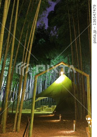 宇都宮　若竹の杜　若山農場　ライトアップ 136547479