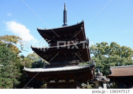 愛媛県松山市　石手寺の三重塔 136547517