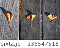 イチョウの落ち葉と木材テクスチャ 136547518