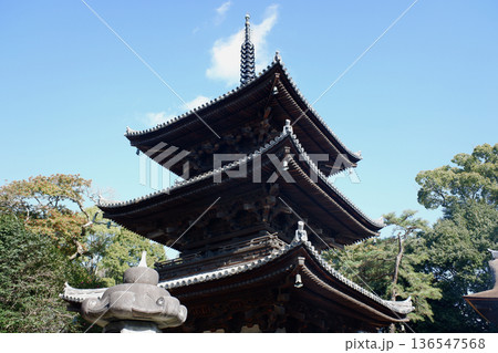 愛媛県松山市　石手寺の三重塔 136547568