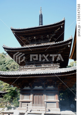 愛媛県松山市　石手寺の三重塔 136547588