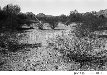 San Tan Mountains Sonora Desert Arizona San Tan Mountains Sonora Desert Arizona 136548115