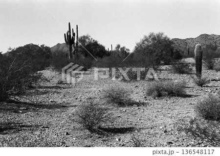 San Tan Mountains Sonora Desert Arizona 136548117