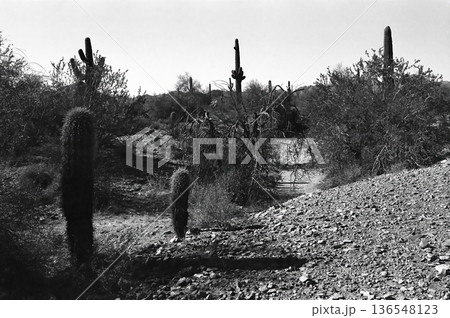 San Tan Mountains Sonora Desert Arizona San Tan Mountains Sonora Desert Arizona 136548123