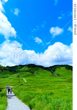 爽やかな夏の青空と草原 136548128