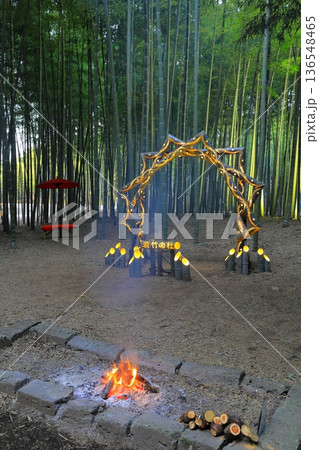 宇都宮「若竹の杜 若山農場」ライトアップ 宇都宮「若竹の杜 若山農場」ライトアップ 136548465