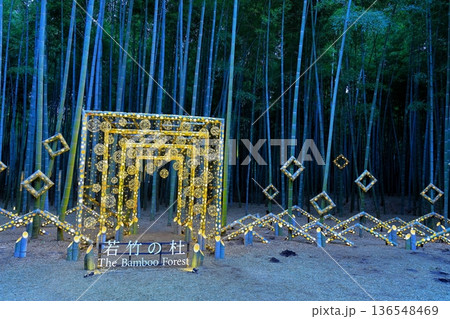 宇都宮「若竹の杜 若山農場」ライトアップ 宇都宮「若竹の杜 若山農場」ライトアップ 136548469