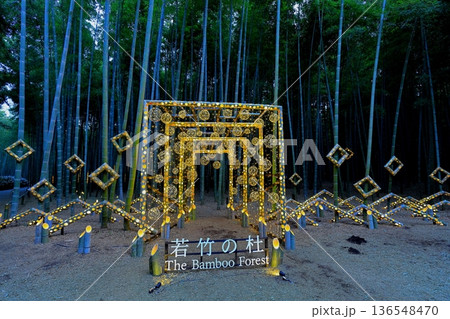 宇都宮「若竹の杜 若山農場」ライトアップ 宇都宮「若竹の杜 若山農場」ライトアップ 136548470