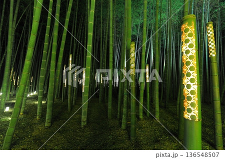 宇都宮「若竹の杜　若山農場」ライトアップ 136548507