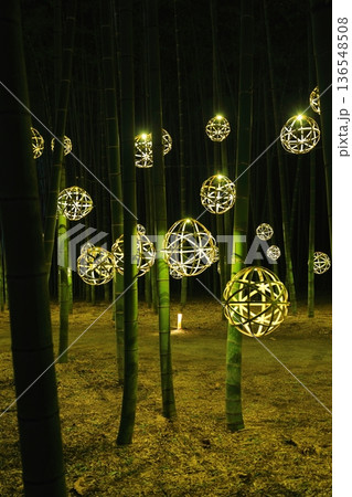 宇都宮「若竹の杜　若山農場」ライトアップ 136548508