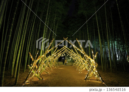 宇都宮「若竹の杜 若山農場」ライトアップ 宇都宮「若竹の杜 若山農場」ライトアップ 136548516