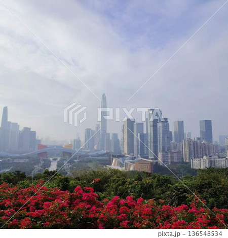高層ビル群と花が彩る近代都市の風景 高層ビル群と花が彩る近代都市の風景 136548534