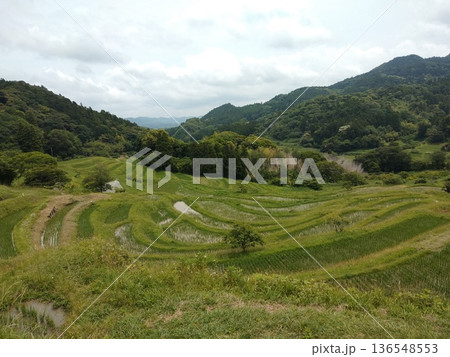 棚田・里山の風景（山間の田園） 136548553